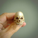 Hand carved bone skull ring. Made from Red Deer antler in New Zealand. Unique  skull ring hand made from deer antler by master bone carver Fumio Noguchi. Spectacular collectable work of art, made to wear. One only ring, delivered to you at no extra cost with express courier.
